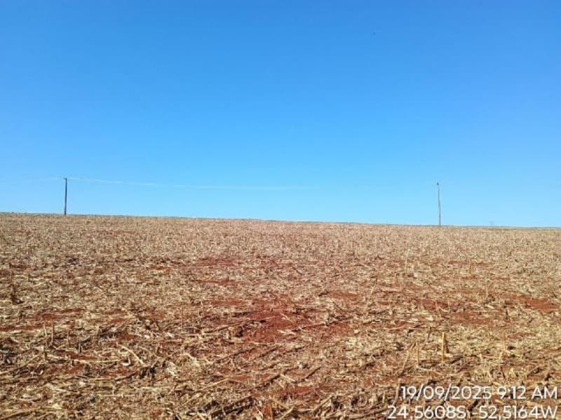 Foto 2 de 3: Area Rural em leilão em Nova Cantu - PR — IMÓVEL RURAL COM ÁREA DE 15.48ha - Em NOVA CANTU