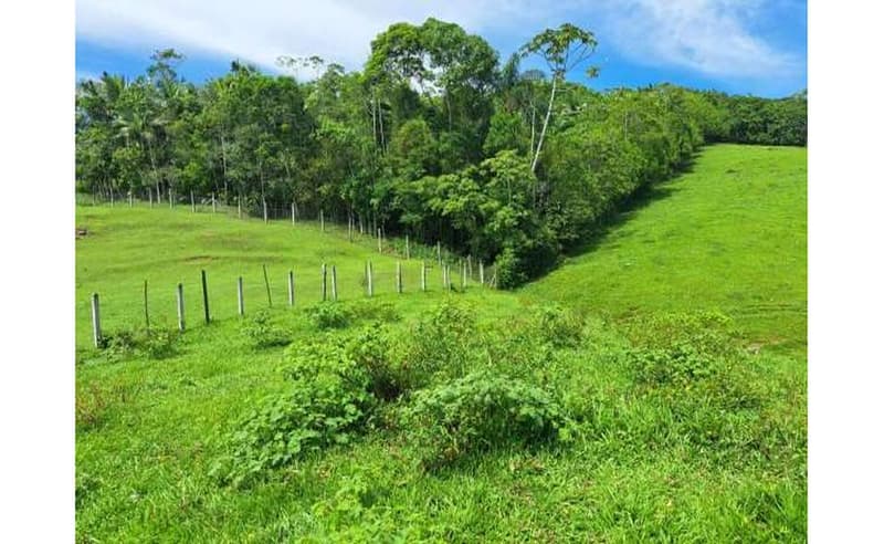 Foto 2 de 27: Terreno em leilão em Blumenau - SC — Imóvel urbano com área total de 35.820,27 m² em Blumenau/SC