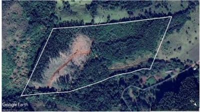 Foto 12 de 16: Area Rural em leilão em Quedas Do Iguaçu - PR — IMÓVEIS RURAIS VENDA CONJUNTA DE DUAS MATRÍCULAS- Em QUEDAS DO IGUAÇU/PR