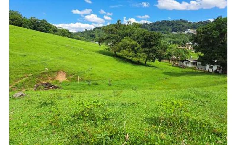 Foto 4 de 27: Terreno em leilão em Blumenau - SC — Imóvel urbano com área total de 35.820,27 m² em Blumenau/SC
