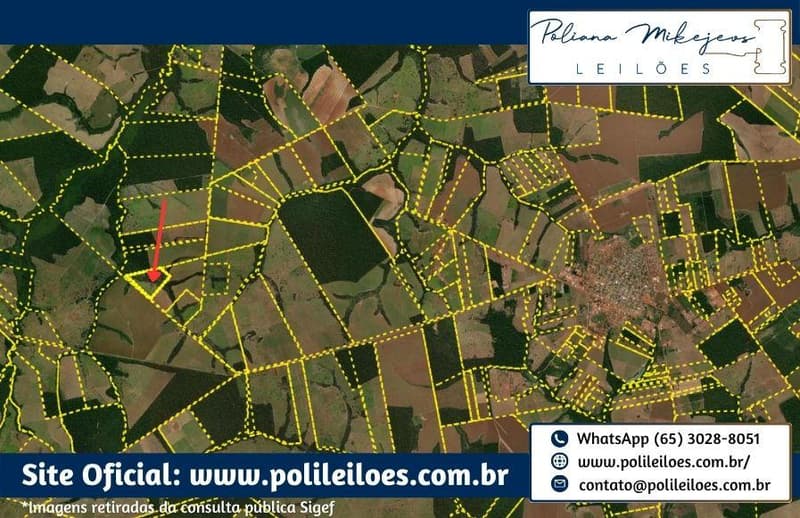 Foto 3 de 3: Imóvel em leilão em Brasnorte - MT — 48,40ha, Matrícula nº 989, do 1º Serviço de Registro de Imóveis e Títulos e Documentos da Comarca de Brasnorte/MT