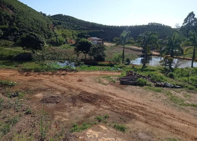 Foto 21 de 49: Area Rural em leilão em Caiana - MG — IMÓVEL RURAL COM ÁREA TOTAL DE 16,99,68 hectares- Em CAIANA/MG