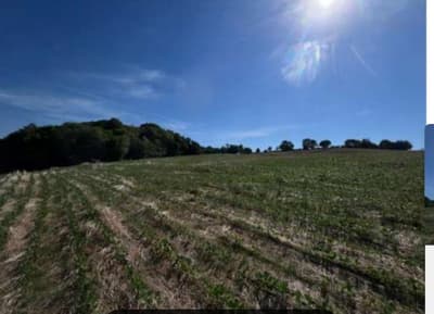 Area Rural em leilão em São José Das Missões - RS — IMÓVEL RURAL COM ÁREA DE de 36.116,81m2 EM SÃO JOSÉ DAS MISSÕES-RS