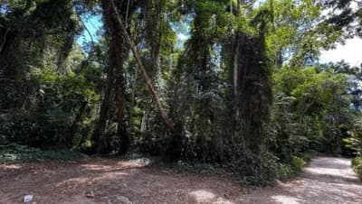 Foto 6 de 9: Terreno em leilão em Ilhabela - SP, bairro Barra Velha — id 778 - Direitos Possessórios - Terreno - Ilhabela/SP