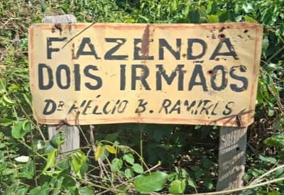 Foto 3 de 3: Area Rural em leilão em Teodoro Sampaio - SP — Fazenda Dois Irmãos, com área 197ha, localizada em Teodoro Sampaio/SP.