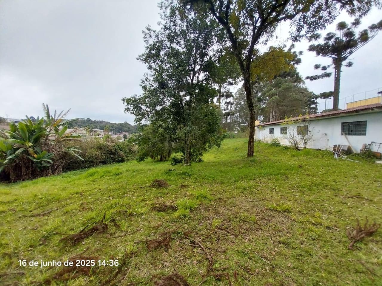 Foto 11 de 16: Terreno em leilão em Almirante Tamandaré - PR, bairro Campina do Arruda — Imóvel terreno de 17.095m² e 2.727m² de área construida, R Ver. Dirceu Pavoni, 246/272 em Alm. Tamandaré/PR. Massa Falida THI Bobinas.