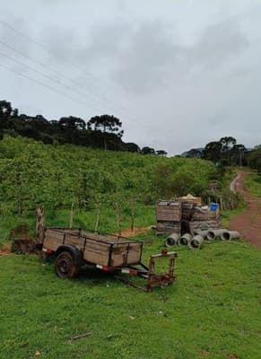 Foto 3 de 16: Area Rural em leilão em São Joaquim - SC — IMÓVEL RURAL COM ÁREA SUPERFICIAL DE 67.085,02 m² EM SÃO JOAQUIM-SC