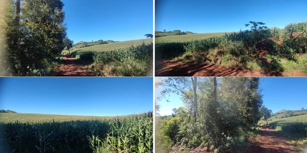 Foto 2 de 12: Area Rural em leilão em Pérola D'oeste - PR — Parte Ideal (5%) Lote Rural com A.T. 84.000m², Município de Pérola DOeste/PR