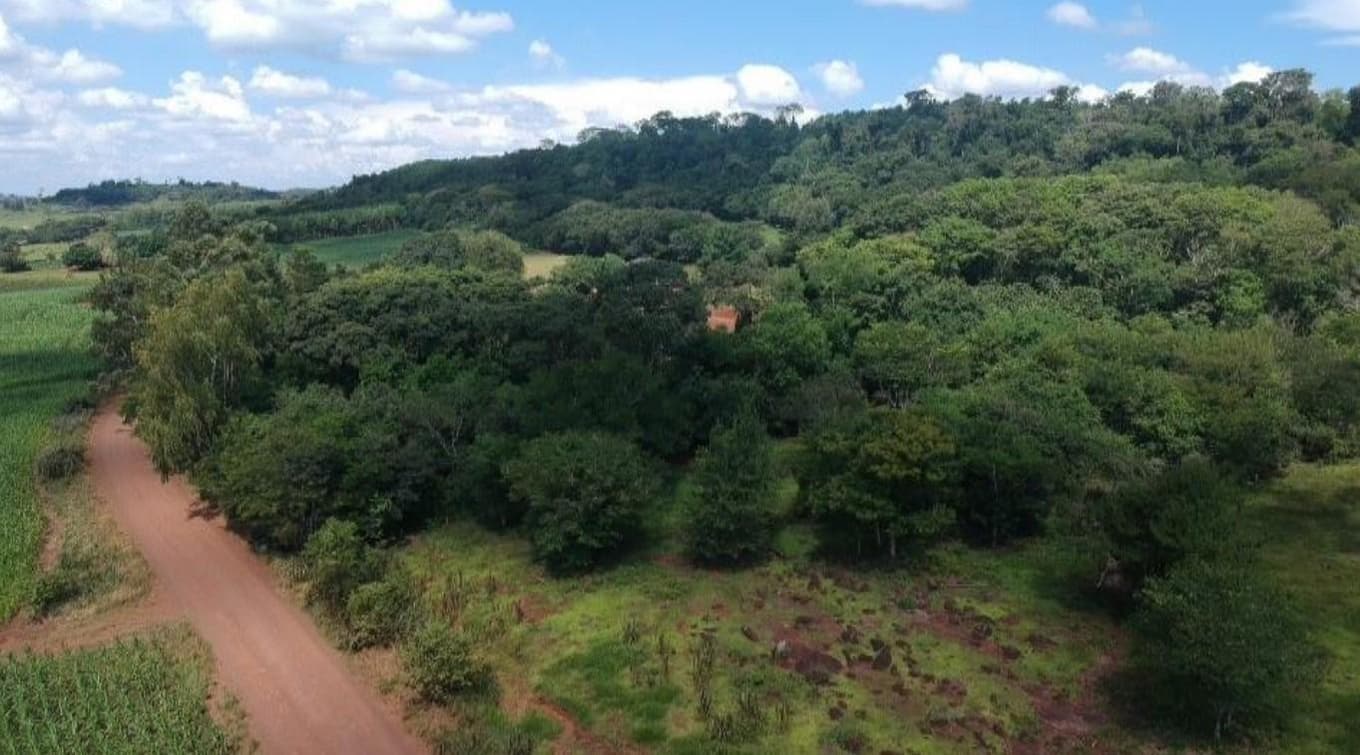 Foto 8 de 8: Area Rural em leilão em Mercedes - PR — IMÓVEL RURAL COM ÁREA DE 70.050 m2- Em MERCEDES/PR