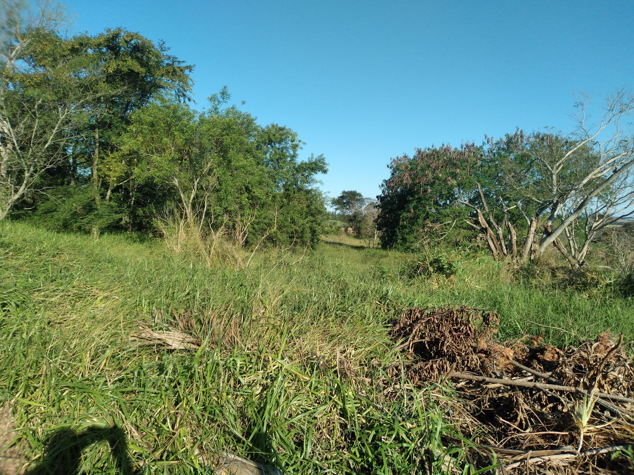 Foto 32 de 41: Area Rural em leilão em Capitão Leônidas Marques - PR — Gleba Urbana Desocupada 27.837m2 no Bairro São Gabriel em Capitão Leonidas Marques/PR