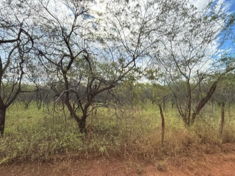 Foto 2 de 7: Area Rural em leilão em Umarizal - RN — Lote, Umarizal / RN