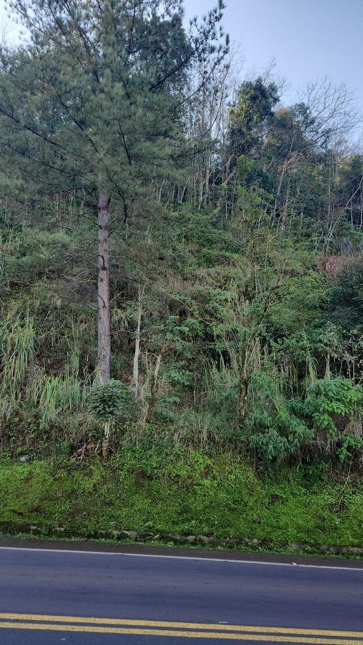 Foto 9 de 10: Terreno em leilão em Mondaí - SC — LOTE URBANO Nº 06 LOCALIZADO NA AVENIDA LAJU NO MUNICÍPIO DE MONDAÍ/SC - ÁREA DE 2.000M²