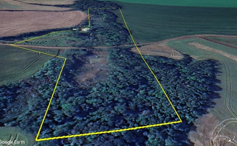 Foto 6 de 8: Area Rural em leilão em Saldanha Marinho - RS — IMÓVEL RURAL COM ÁREA TOTAL DE 53.703,00 m² EM SALDANHA MARINHO/RS
