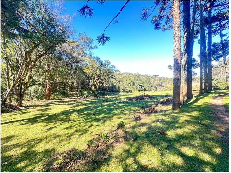 Foto 23 de 35: Area Rural em leilão em São José Dos Pinhais - PR — Sitio com área total de 120.974,16m², localizado Borda do Campo em São José dos Pinhais/PR