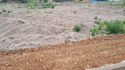 Foto 3 de 5: Terreno em leilão em Saudades - SC, bairro Saudades — LOTE URBANO Nº 04, DA QUADRA Nº 122, LOCALIZADO EM SAUDADES/SC ÁREA DE 360M²