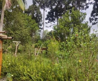 Foto 11 de 26: Area Rural em leilão em São João Do Triunfo - PR — IMÓVEL RURAL COM EXTENSÃO URBANA - ÁREA TOTAL DE 60.726,43 m²-AVENIDA DAS ARAUCÁRIAS-LADEIRA- SÃO JOÃO DO TRIUNFO-PR