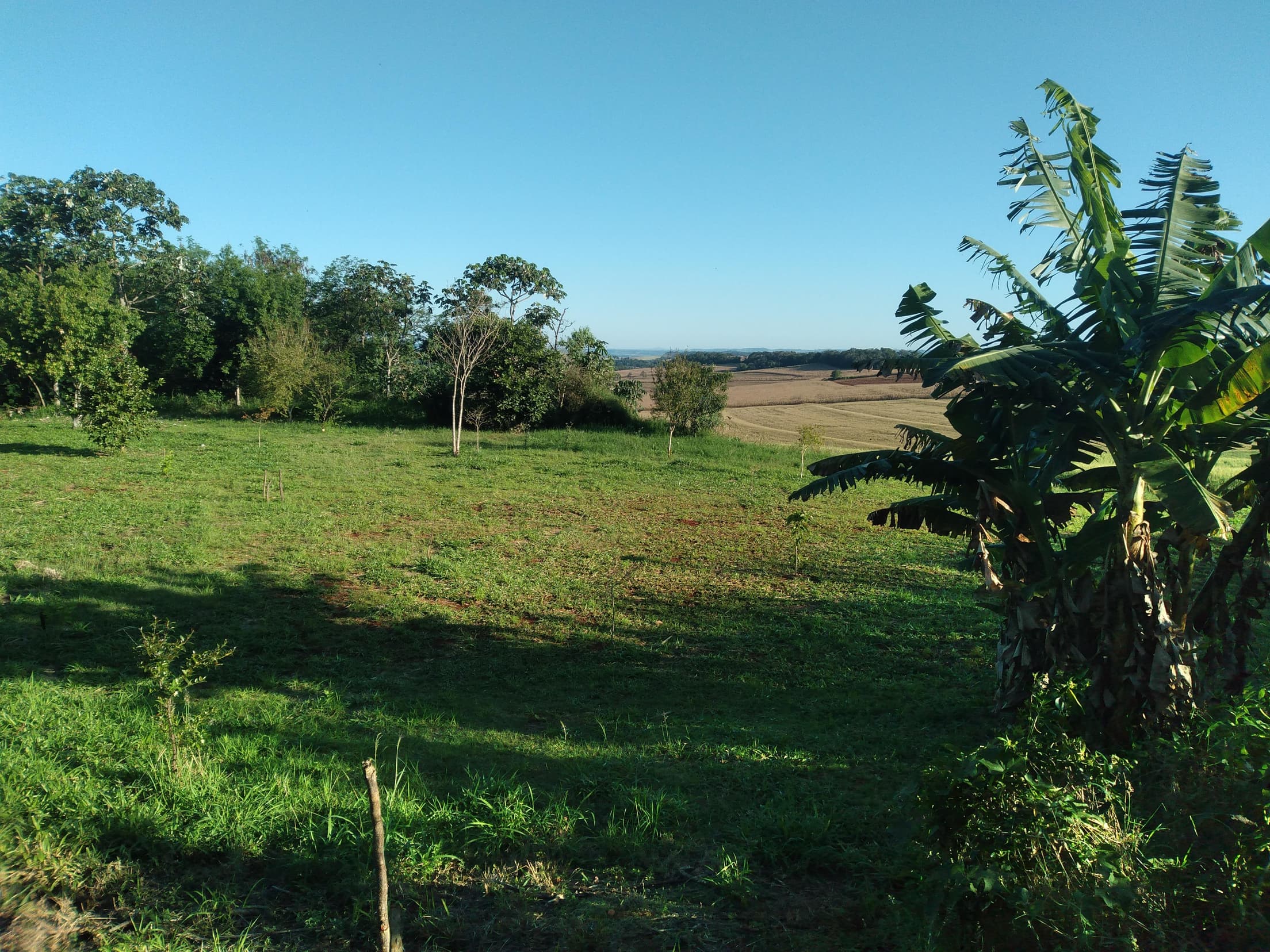 Foto 37 de 41: Area Rural em leilão em Capitão Leônidas Marques - PR — Gleba Urbana Desocupada 27.837m2 no Bairro São Gabriel em Capitão Leonidas Marques/PR