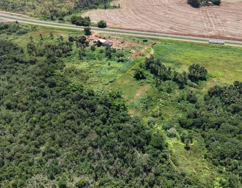 Foto 8 de 11: Area Rural em leilão em Rio Verde - GO — Fazenda, Rio Verde / GO