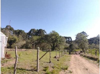Foto 1 de 4: Area Rural em leilão em Campo Largo - PR, bairro Felpudo — Área rural, situada no lugar denominado Felpudo, em Campo Largo/PR - Massa Falida de Sinoda Construções