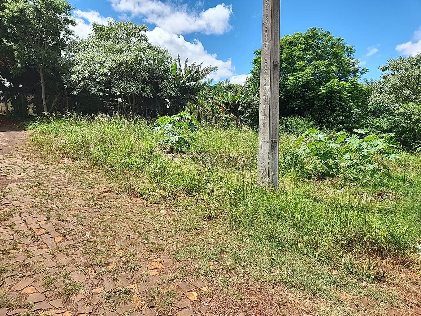 Foto 2 de 3: Terreno em leilão em Dois Vizinhos - PR — LOTE URBANO Nº 13-A DA QUADRA Nº 08 LOCALIZADO NO LOTEAMENTO CRISTO REI EM DOIS VIZINHOS/PR - ÁREA DE 364,87M²
