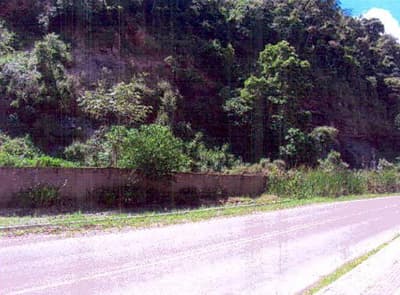 Foto 1 de 5: Terreno em leilão em Canoinhas - SC — Terreno urbano com área de 3.772,79 m² no município de Canoinhas/SC