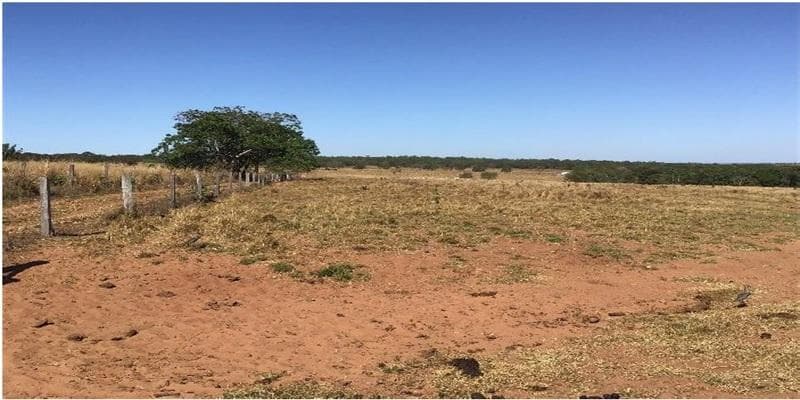 Foto 2 de 11: Area Rural em leilão em Poxoréu - MT — IMÓVEL RURAL | 54,00 HA PECUÁRIA | ESTÂNCIA 2 IRMÃOS, POXORÉU/MT