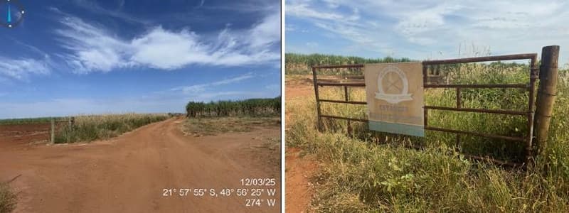 Foto 2 de 7: Area Rural em leilão em Arealva - SP — Uma gleba de terras com área de 126,6565 Há