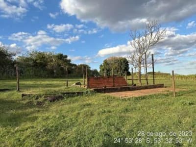 Foto 4 de 19: Area Rural em leilão em Cascavel - PR — Area de terras rural, medindo 18.964,00m², contendo um barracão com área de 820,00 m², silo para ração e poço artesiano.