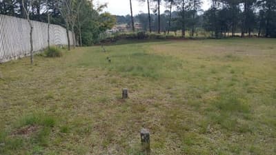 Imóvel em leilão em São José Dos Pinhais - PR — Jazigo, situado na quadra 19, sendo ele o lote 2, medindo 2,5m por 1,5m