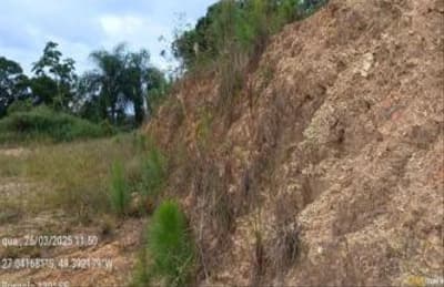 Foto 5 de 6: Terreno em leilão em Apiúna - SC — TERRENO URBANO COM ÁREA TOTAL DE 798,30 M2, EM APÍUNA-SC