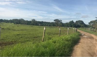 Foto 7 de 14: Comercial em leilão em Posse - GO — IMÓVEIS RESIDENCIAL, COMERCIAL E RURAL | POSSE/GO