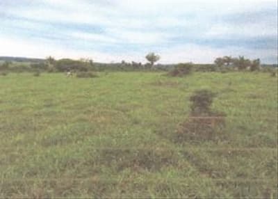 Foto 1 de 5: Area Rural em leilão em Apiacás - MT — IMÓVEL RURAL COM 73,998HA EM APIACÁS-MT