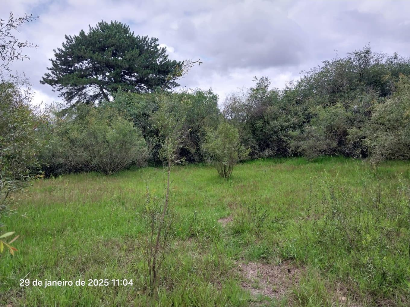 Foto 4 de 16: Terreno em leilão em Ponta Grossa - PR, bairro Colônia Dona Luiza — Terreno urbano, com área de terreno total de 10.260,00m², Ponta Grossa/PR