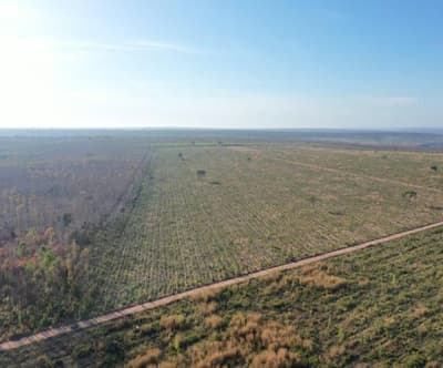 Foto 1 de 3: Area Rural em leilão em Santa Fé De Minas - MG — FAZENDA TRÊS RIACHOS, COM ÁREA TOTAL DE 101,2270 HÁ SANTA FÉ MG