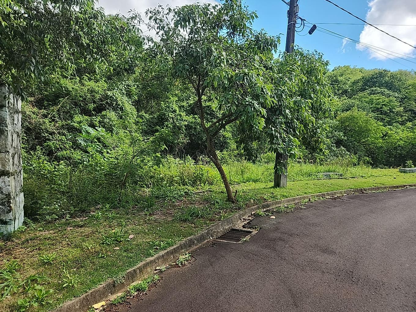 Foto 3 de 4: Terreno em leilão em Dois Vizinhos - PR — LOTE URBANO Nº 04 DA QUADRA Nº 04 LOCALIZADO NO LOTEAMENTO RESIDENCIAL HARMONIA EM DOIS VIZINHOS/PR - ÁREA DE 550,44M²
