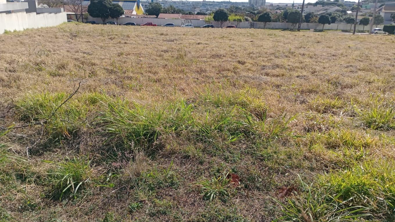 Terreno em leilão em Cascavel - PR — Terreno Urbano 480m² na Vila Alto Alegre em Cascavel/PR - Desocupada
