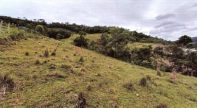 Foto 5 de 15: Area Rural em leilão em Alfredo Wagner - SC, bairro Interior — IMÓVEL RURAL COM ÁREA SUPERFICIAL DE 36.264,00m², EM ALFREDO WAGNER/SC