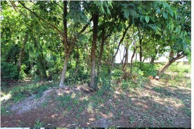 Foto 10 de 16: Terreno em leilão em Foz Do Iguaçu - PR — Terreno com 4.919,10 m² , sem benfeitorias, na Avenida Theodoro Risden nº 598, Foz do Iguaçu/PR