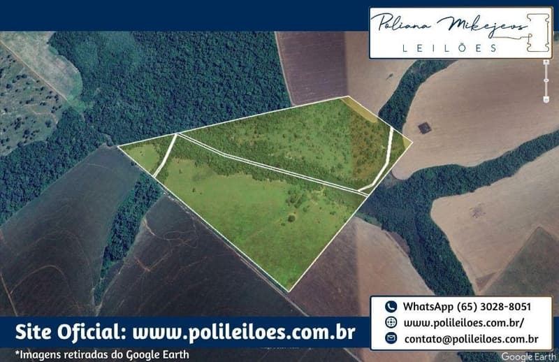 Foto 1 de 3: Imóvel em leilão em Brasnorte - MT — 48,40ha, Matrícula nº 989, do 1º Serviço de Registro de Imóveis e Títulos e Documentos da Comarca de Brasnorte/MT