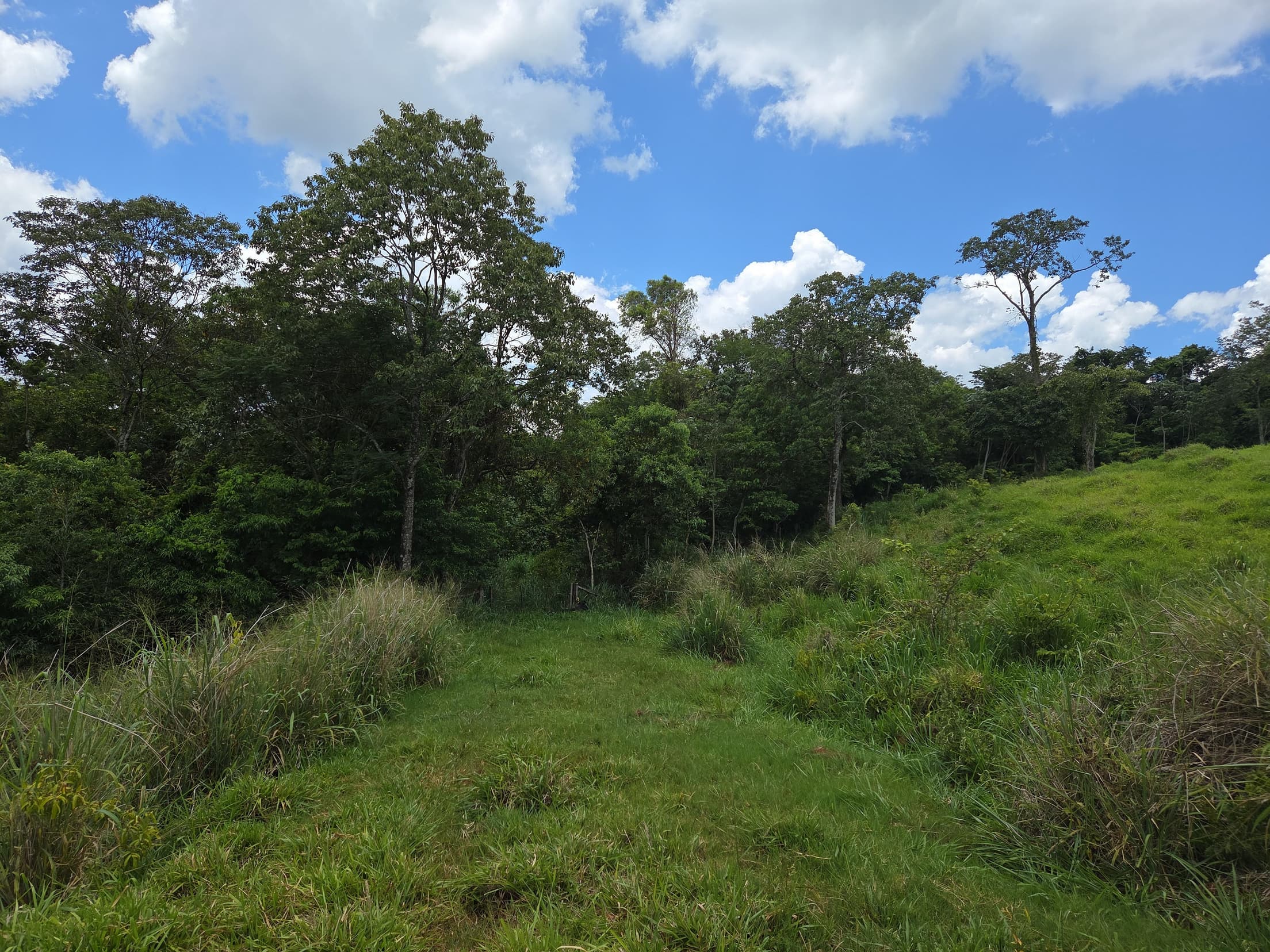 Foto 2 de 20: Area Rural em leilão em Lindoeste - PR — LOTE RURAL Nº 396-A SITUADO NO MUNICÍPIO DE LINDOESTE/PR- ÁREA DE 10,3146 HÁ