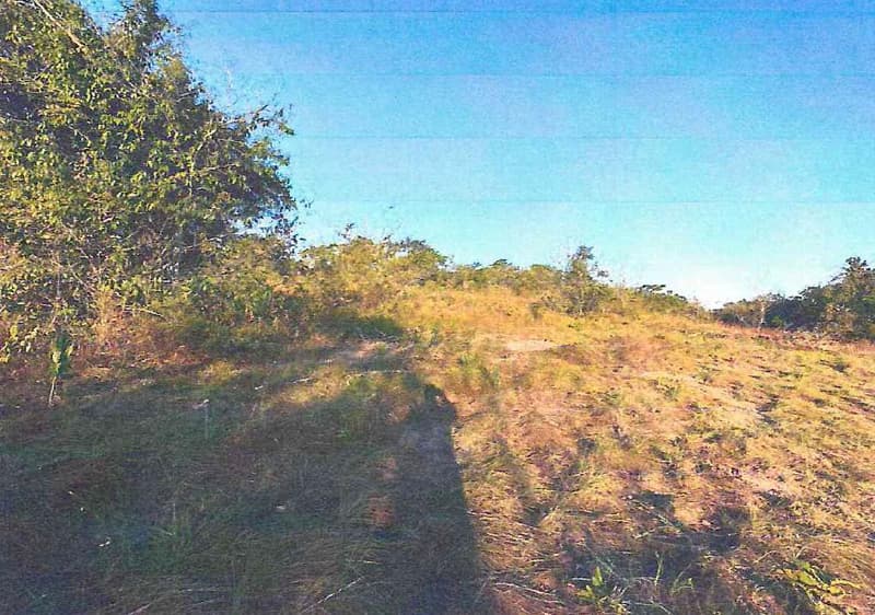 Foto 7 de 7: Area Rural em leilão em Serranópolis - GO — IMÓVEL RURAL - A.T 38,72 HA - SERRANÓPOLIS/GO