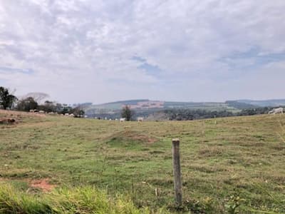 Area Rural em leilão em Timburi - SP — IMÓVEL RURAL COM ÁREA DE 9 ALQUEIRES - TIMBURI/SP