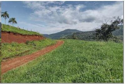 Foto 6 de 8: Area Rural em leilão em Coronel Domingos Soares - PR — Terreno Rural com área de 16,108 hectares, as margens do Rio Iguaçu, Gleba III, do Quinhão IV e Quinhões 6 e 6-A, da Fazenda Cacumbangue, município de Coronel Domingo Soares/PR.