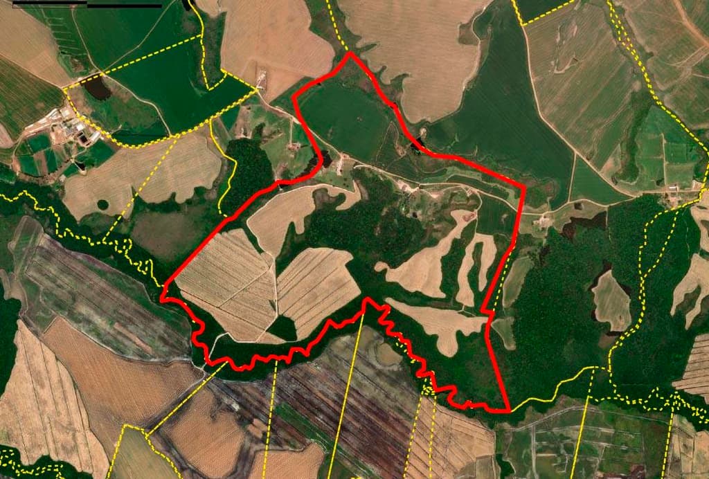 Area Rural em leilão em Castro - PR — Fazenda com 221 hectares em Castro-PR