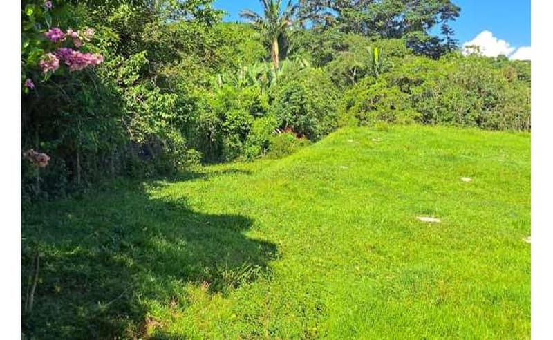 Foto 12 de 27: Terreno em leilão em Blumenau - SC — Imóvel urbano com área total de 35.820,27 m² em Blumenau/SC