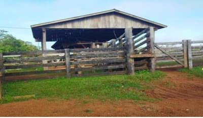 Foto 10 de 12: Area Rural em leilão em Aripuanã - MT — IMÓVEL RURAL | A.T. 797,7029HA ¿ FAZ. ÁGUA DA PRATA (DUPLA APTIDÃO) | ARIPUANÃ/MT