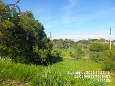 Foto 16 de 20: Terreno em leilão em Maringá - PR — Terreno Urbano 34.336m² Em Desocupação em Maringá/PR