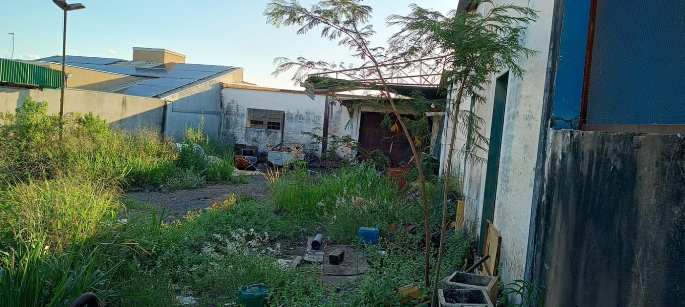 Foto 3 de 5: Terreno em leilão em José Bonifácio - SP — Terreno Urbano, A.T. 561m²