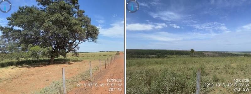 Foto 3 de 4: Area Rural em leilão em Bauru - SP — Área de terras com 21,97 ha, sem benfeitorias
