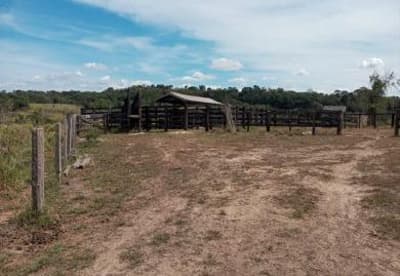 Foto 3 de 6: Area Rural em leilão em Apiacás - MT — IMÓVEL RURAL - 98,614HA - ESTÂNCIA SOUZA III EM APIACÁS/MT - EXPLORAÇÃO AGROPECUÁRIA COM BENFEITORIAS
